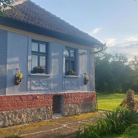 Apartmani Petkovic 226 Velika Drenova Zewnętrze zdjęcie
