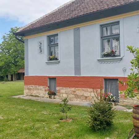 Apartmani Petkovic 226 Velika Drenova Zewnętrze zdjęcie