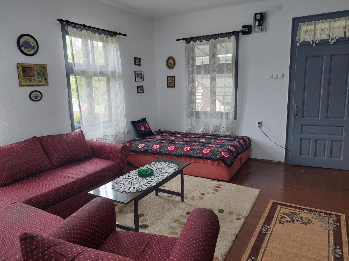 Apartmani Petkovic 226 Velika Drenova Zewnętrze zdjęcie