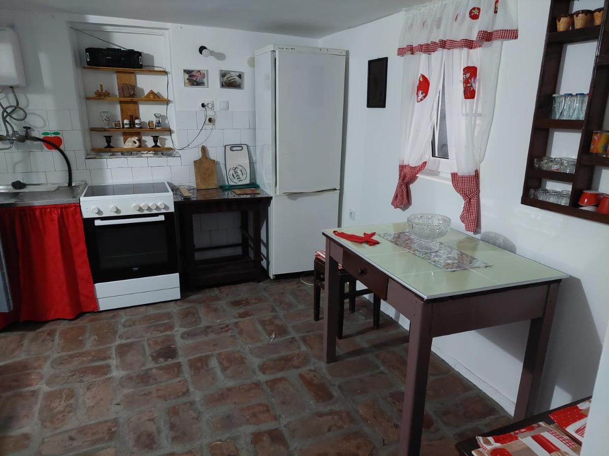 Apartmani Petkovic 226 Velika Drenova Zewnętrze zdjęcie
