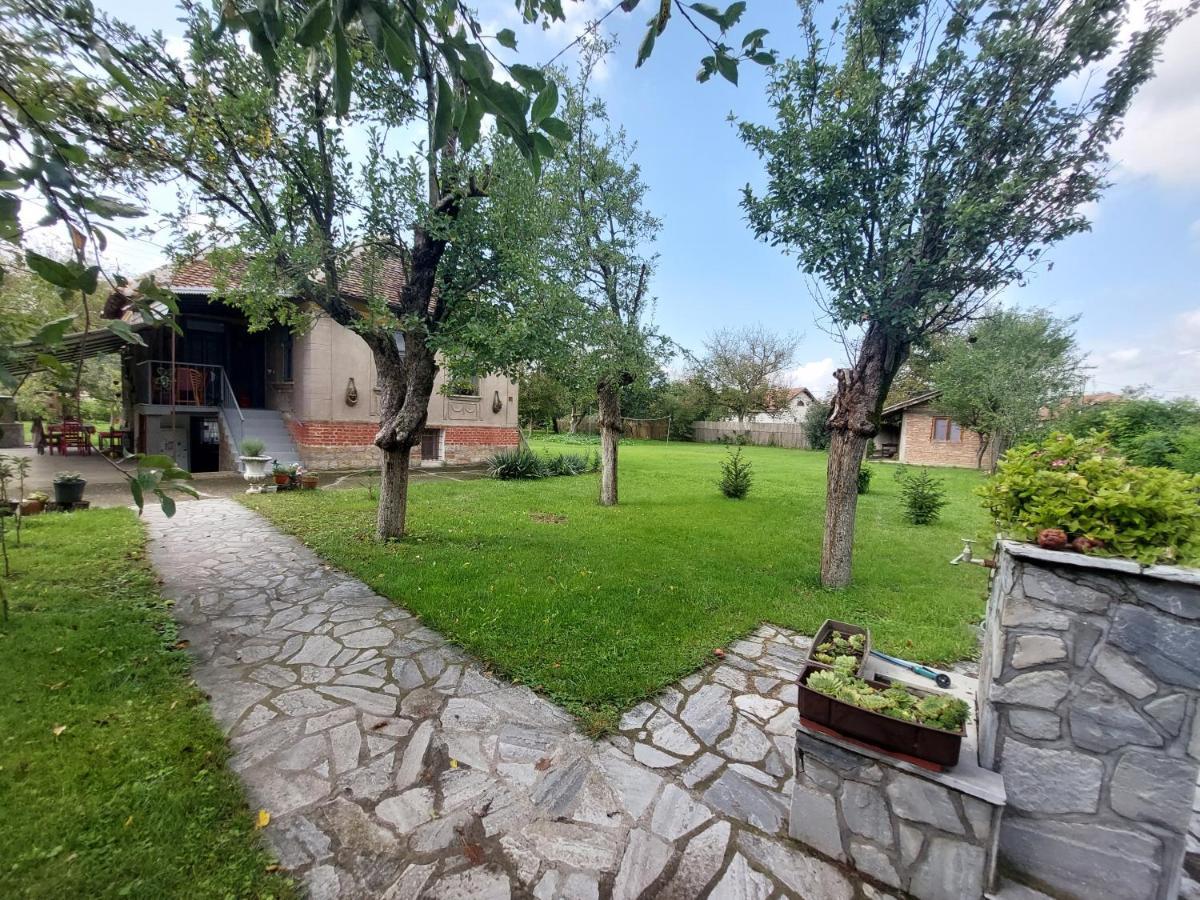 Apartmani Petkovic 226 Velika Drenova Zewnętrze zdjęcie