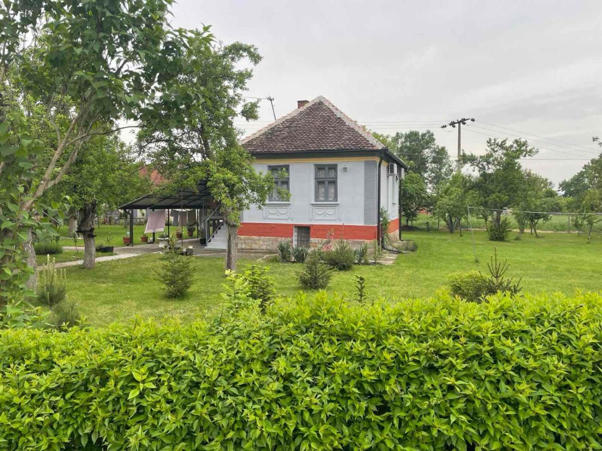 Apartmani Petkovic 226 Velika Drenova Zewnętrze zdjęcie