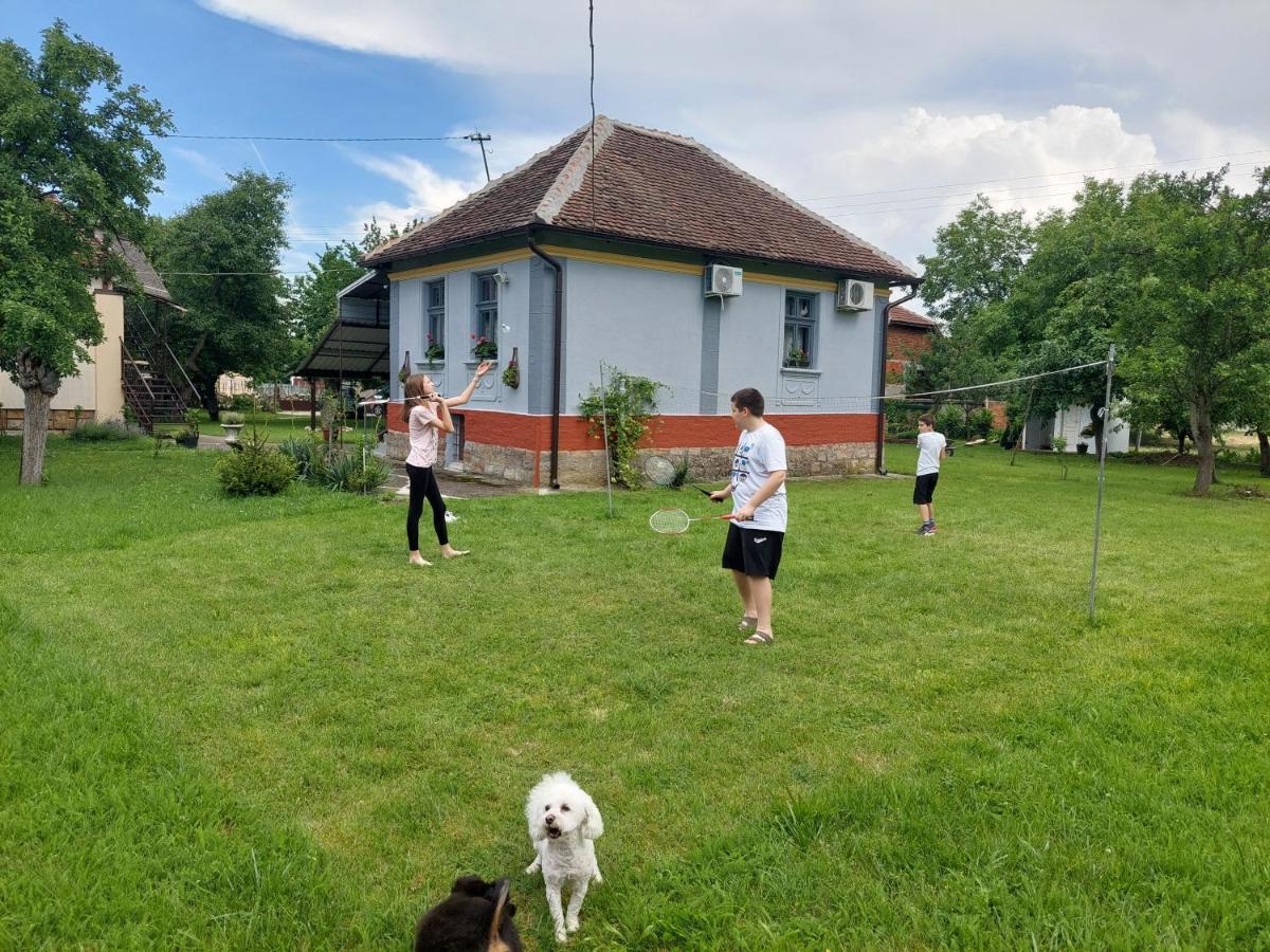 Apartmani Petkovic 226 Velika Drenova Zewnętrze zdjęcie