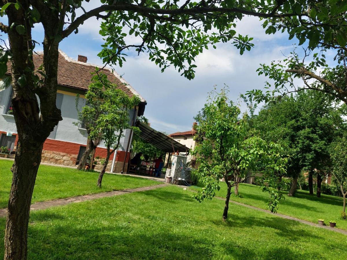 Apartmani Petkovic 226 Velika Drenova Zewnętrze zdjęcie